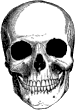 GIF-Animation Totenkopf im Pixel-Style