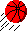 Basketball rot