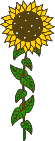 GIF-Bild Blume im Pixel-Style