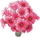 GIF-Bild Blume im Pixel-Style