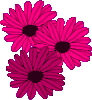 GIF-Bild Blume im Pixel-Style