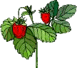 GIF-Bild Erdbeeren im Pixel-Style