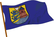 wehende blaue Flagge mit Flensburger Stadtwappen